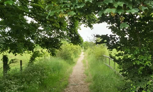 Country lane in the parish - photo by kind permission of Jemma Lawson