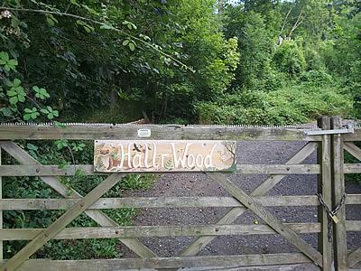 Photo Gallery Image - Hallr Wood