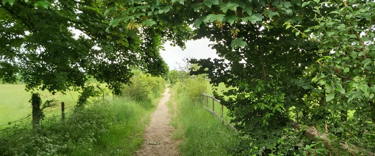 Country walks in The Charltons - photo by kind permission of Jemma Lawson