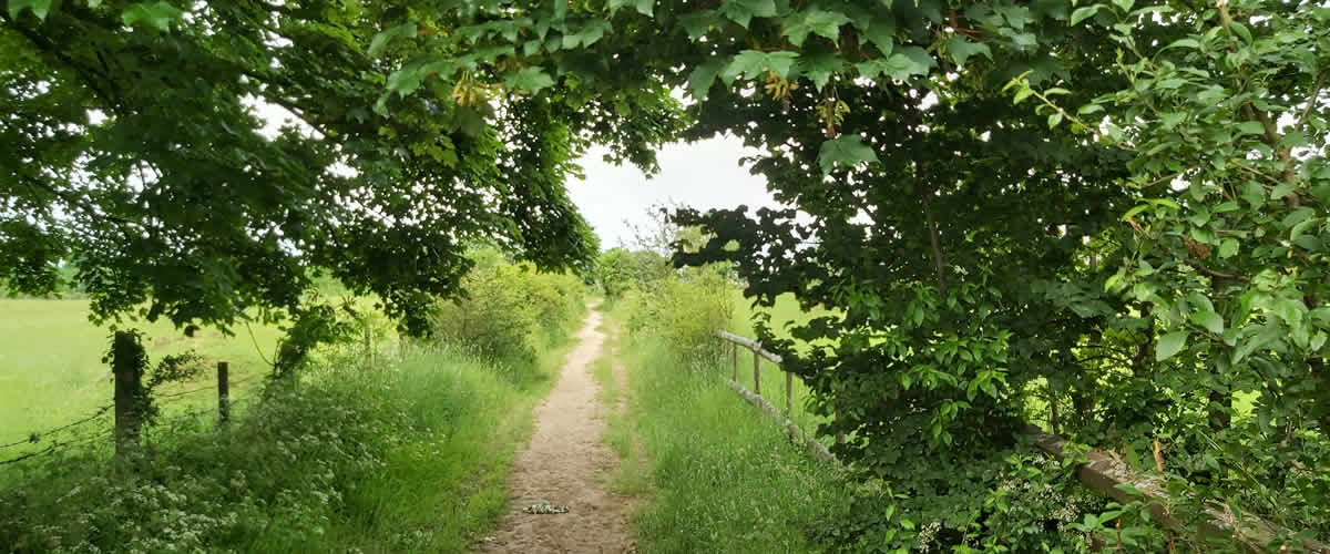 Country lane in the parish - photo by kind permission of Jemma Lawson